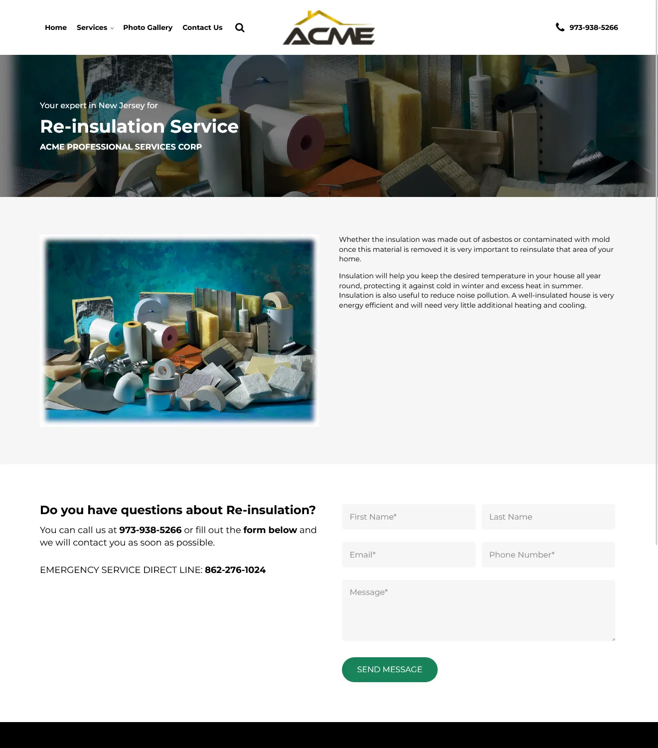 ACME Professional Services - Business Website - Image 5