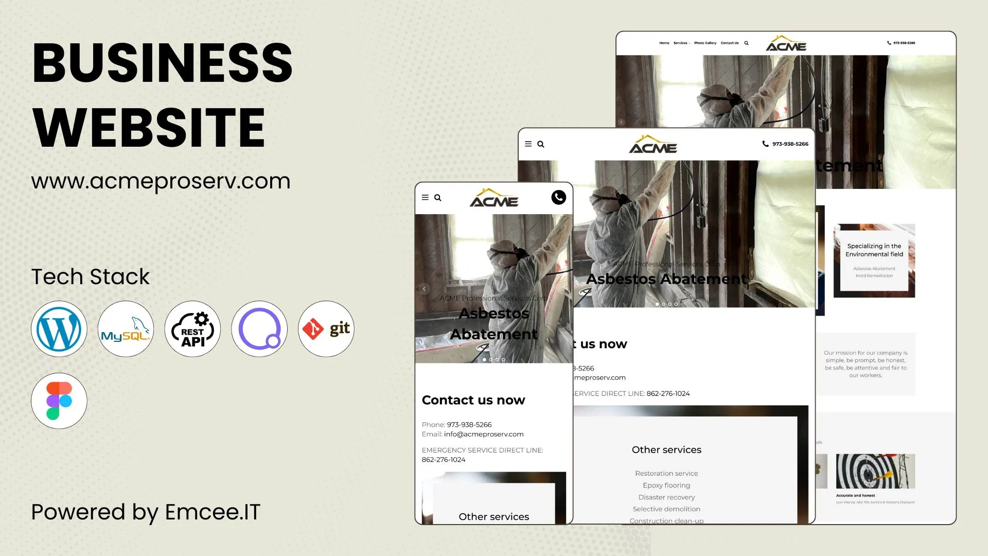 ACME Professional Services - Business Website