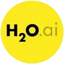 H2O.ai logo