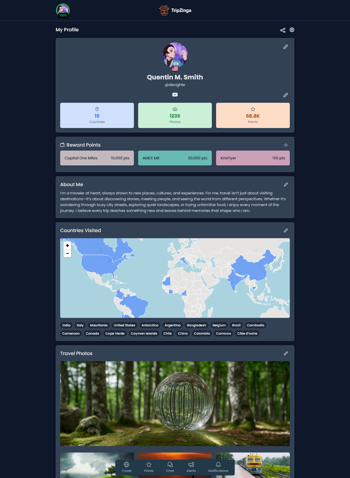 TripZinga - Travel Network Platform - Image 1
